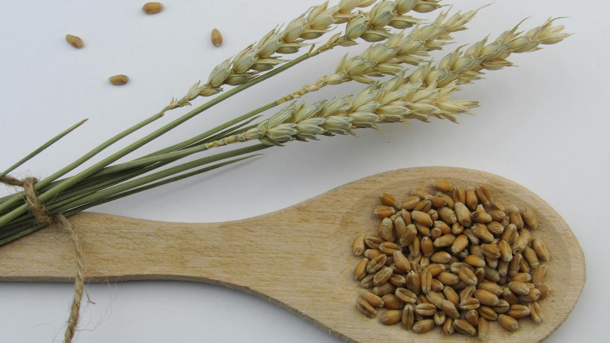 Mengenal Whole Grain, Jenis Karbohidrat Kompleks yang Dapat Bantu Jaga Energi Tetap Stabil