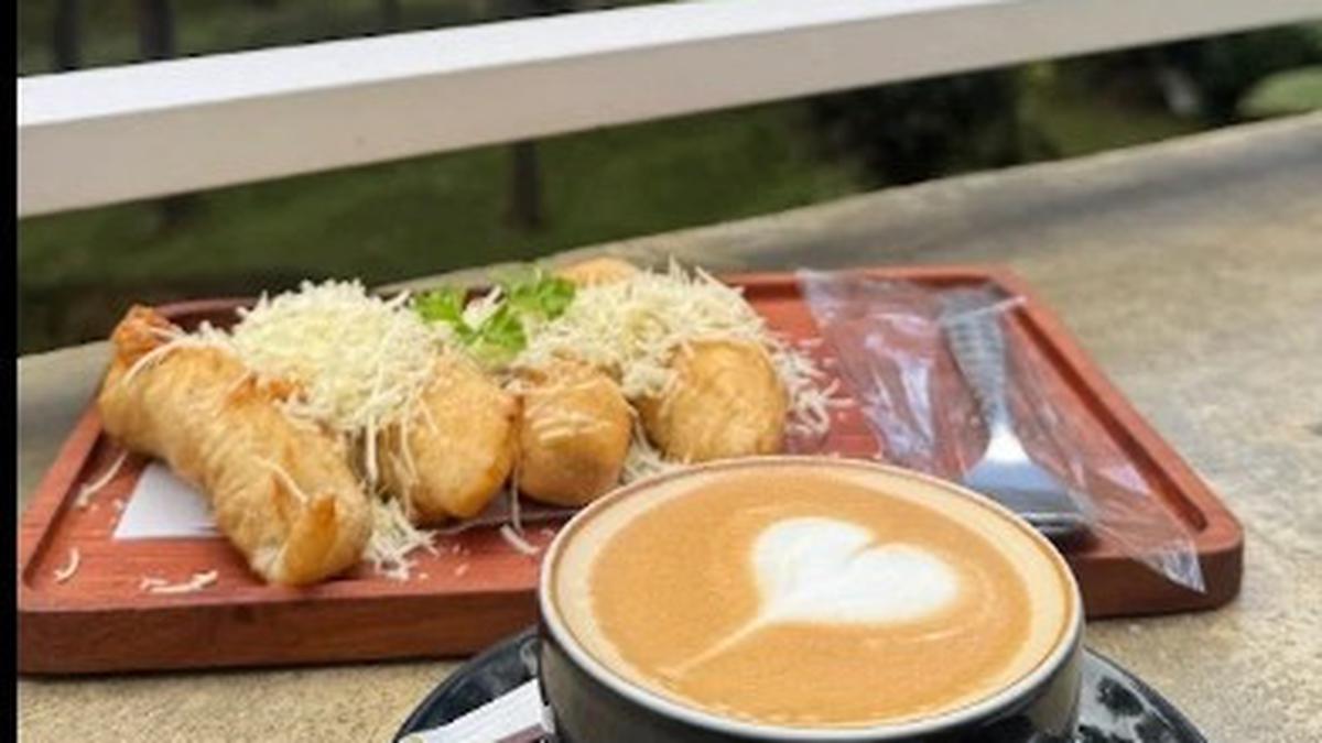 9 Cafe View Alam di Lembang 2026, Panorama Pinus dan Pegunungan